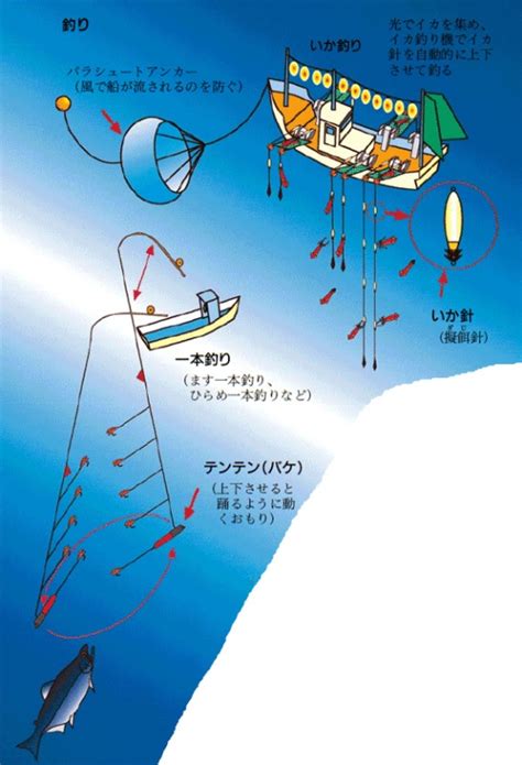 魚網種類|代表的な漁具・漁法の解説